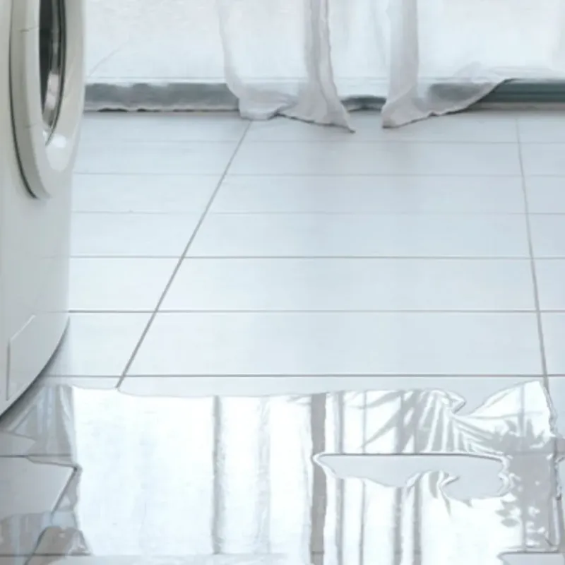 Appliance Leak Cleanup in Lake County, IN