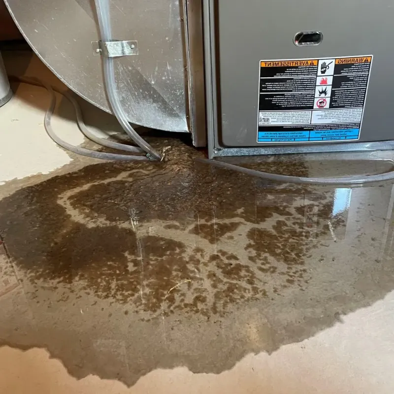Pipe Burst and Leak Restoration in Lake County, IN
