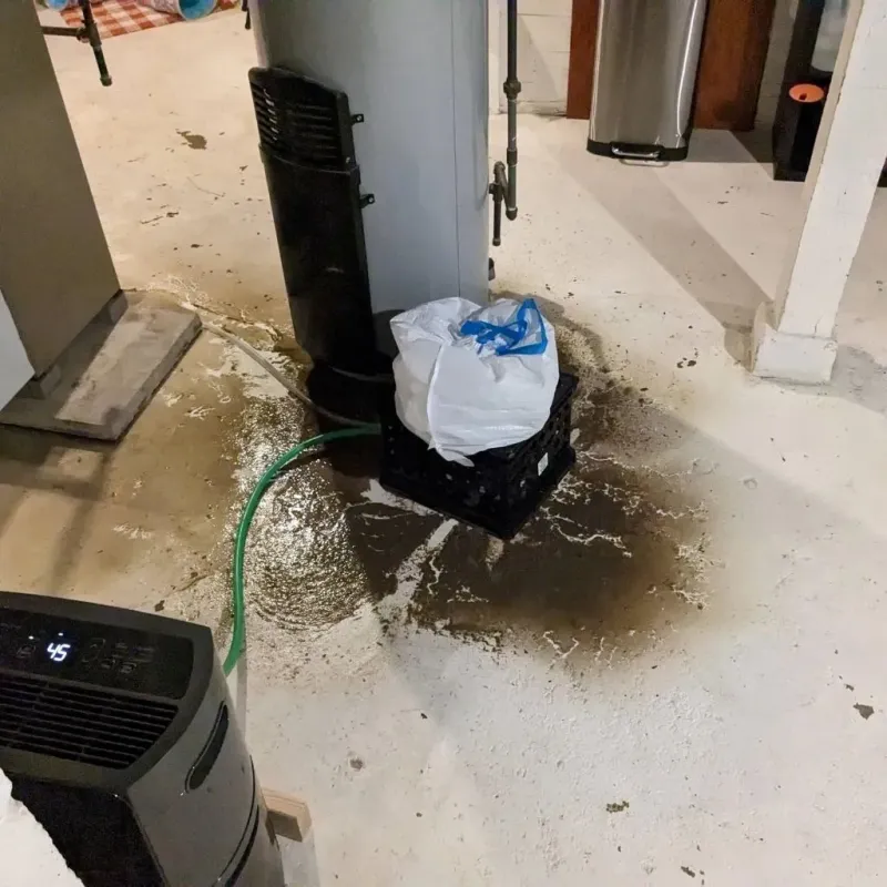 Sewage Backup Cleanup Service in Lake County, IN